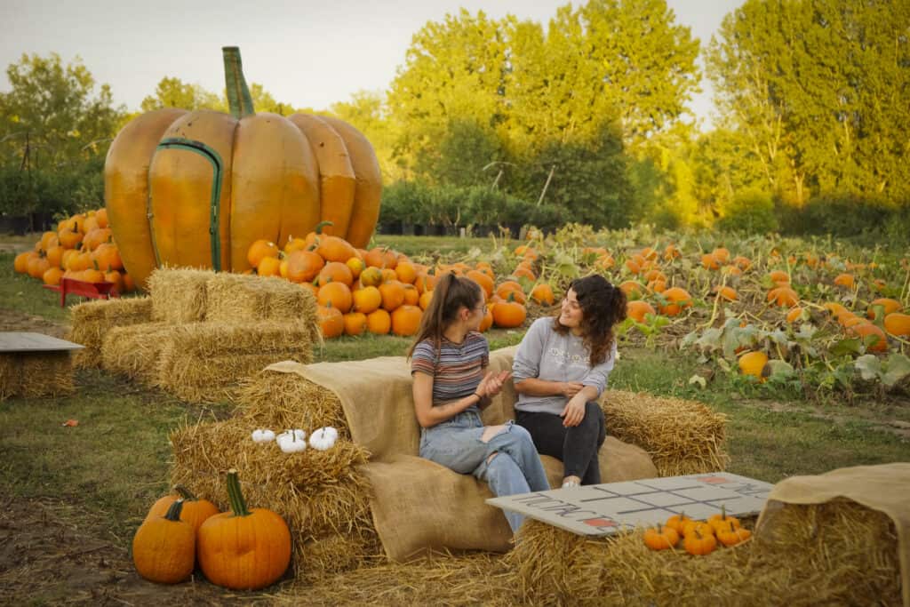 Ferme Marineau - Autocueillette de citrouilles
