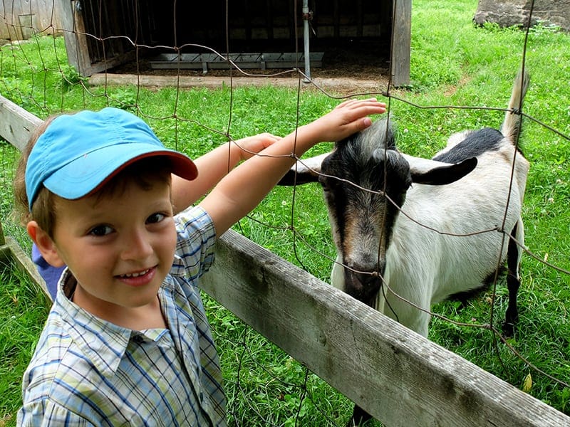 Voyage au centre de la nature