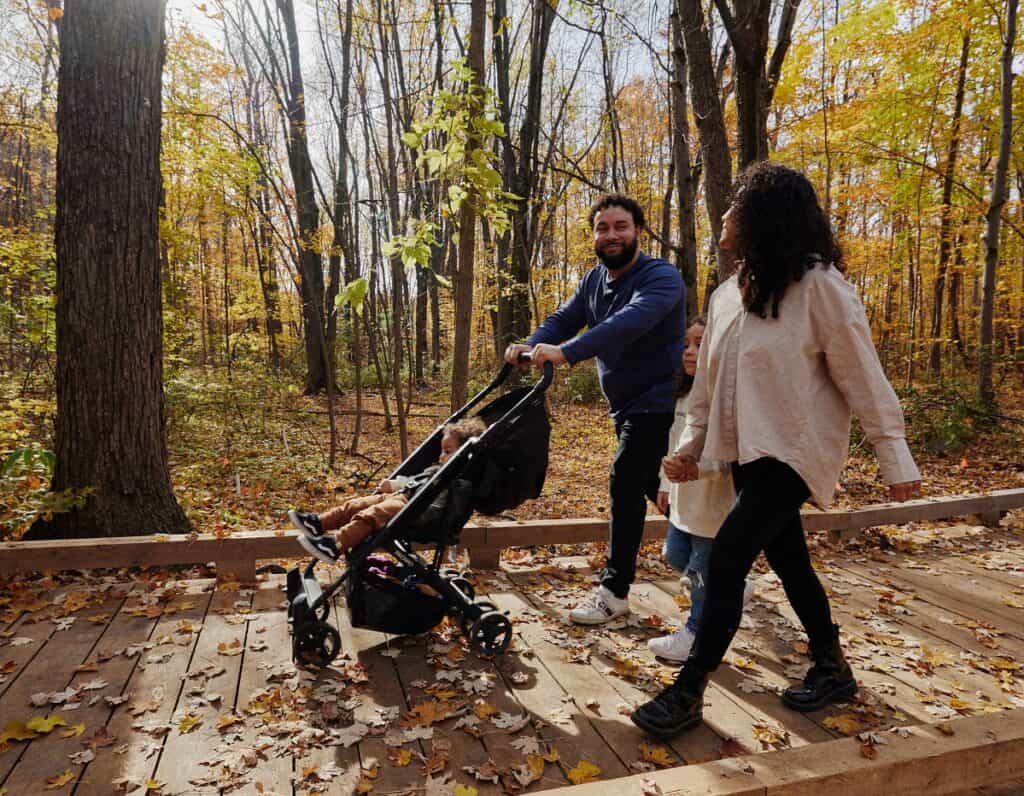 Boisé en automne à Laval