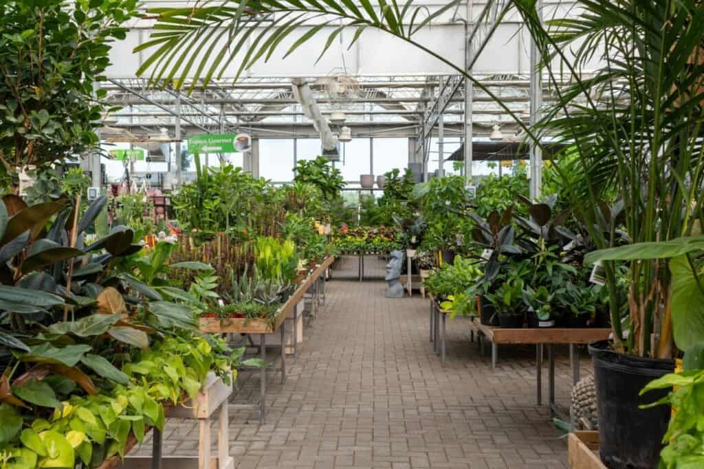 Le salon des plantes tropicales du grand Montréal