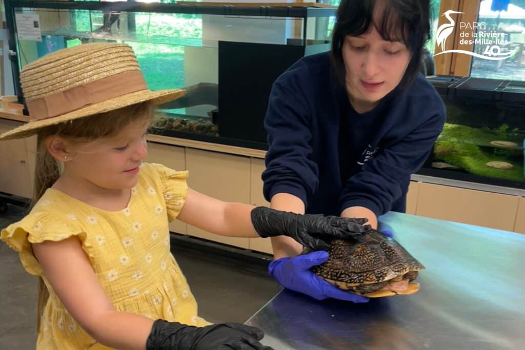 Animalier d’un jour