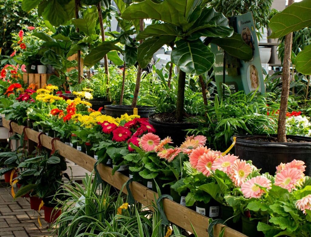 Locas Nursery in Laval