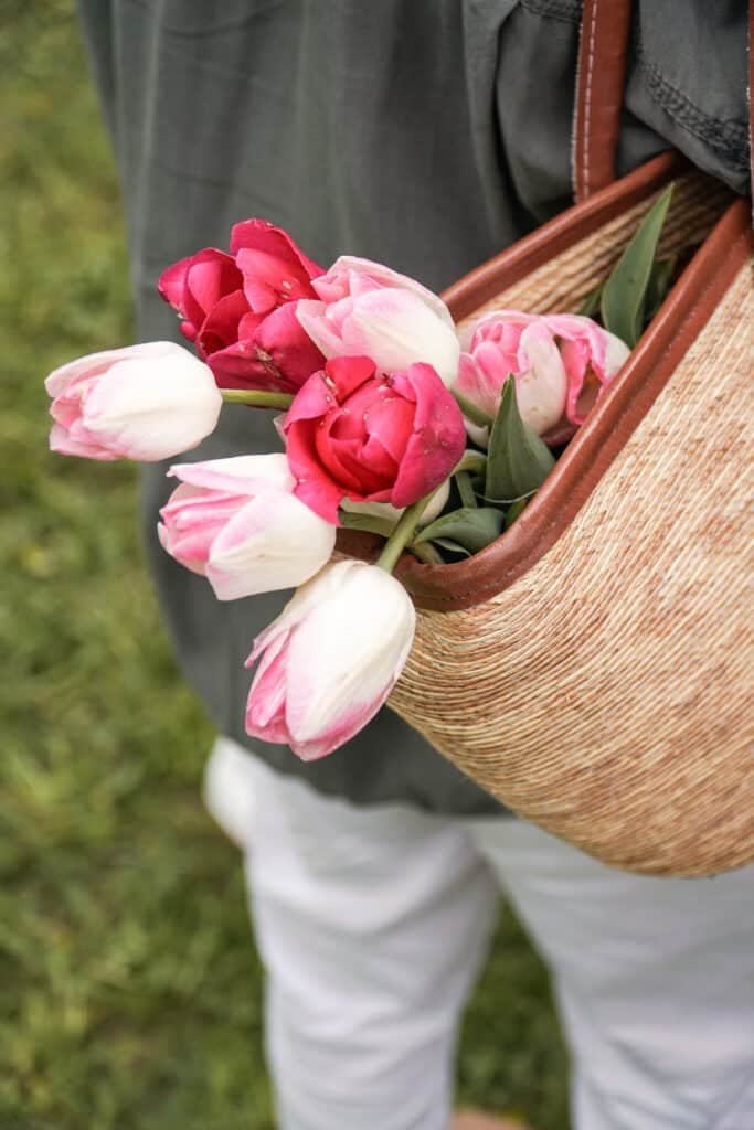 A bouquet of tulips for Mom